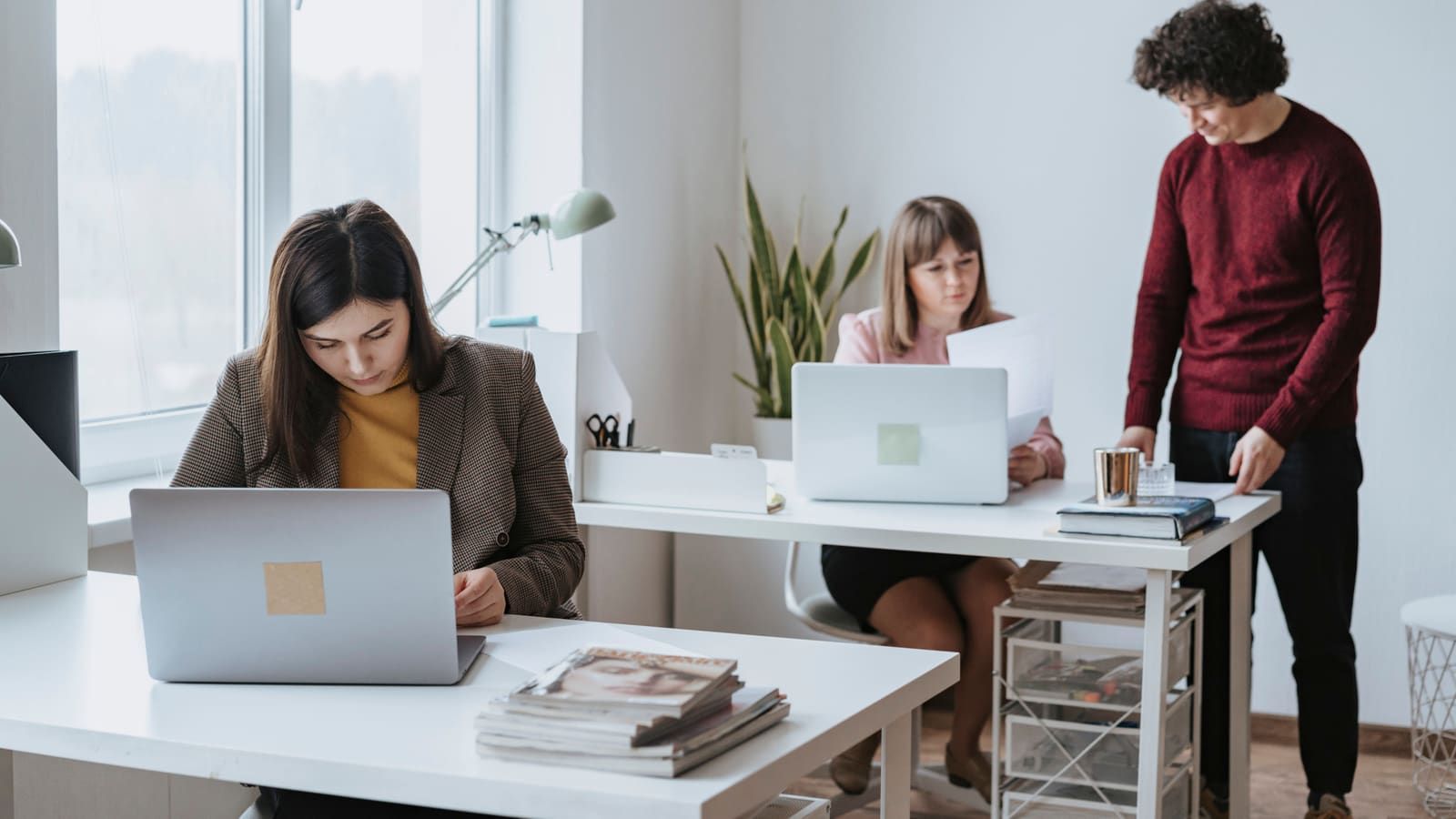 Group of colleagues working together in a bright, modern office space with laptops
